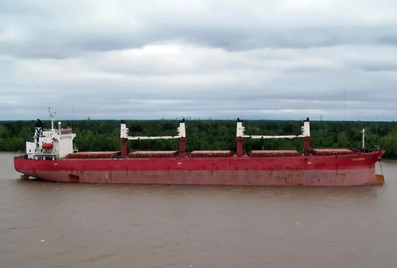 CARDINAL Bulk Carrier IMO 9274575 photo 9