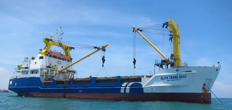 ALFA TRANS SATU Container Ship IMO 9274721