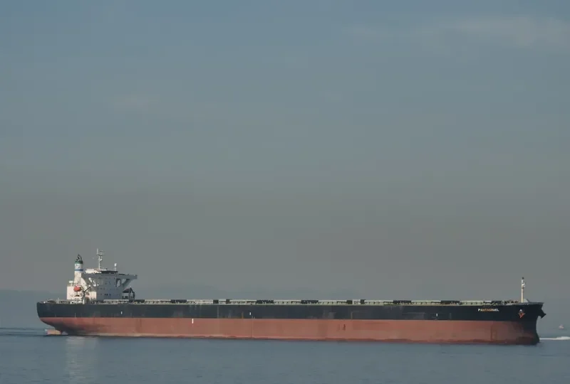 PANTAGRUEL Bulk Carrier IMO 9274903 photo 2
