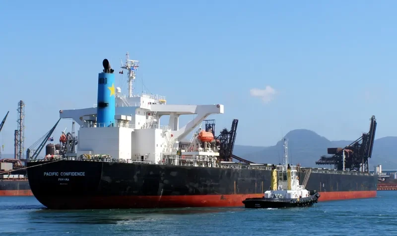 PANTAGRUEL Bulk Carrier IMO 9274903 photo 8