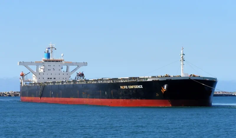 PANTAGRUEL Bulk Carrier IMO 9274903 photo 9