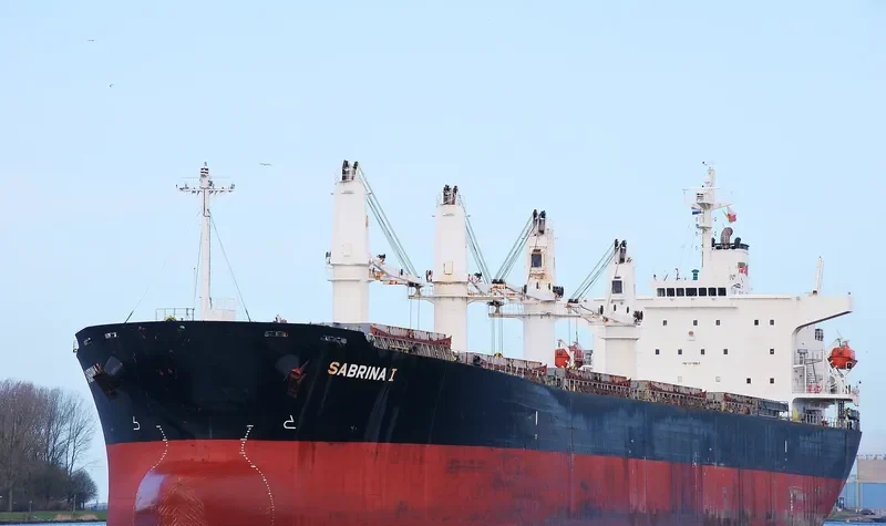 PACIFIC SOPHIA Bulk Carrier IMO 9274927 photo 10