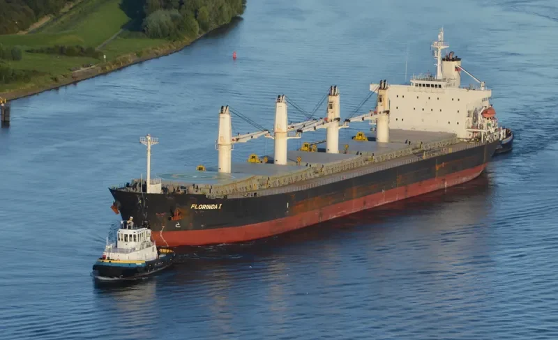 PACIFIC FRIEDA Bulk Carrier IMO 9274939 photo 2