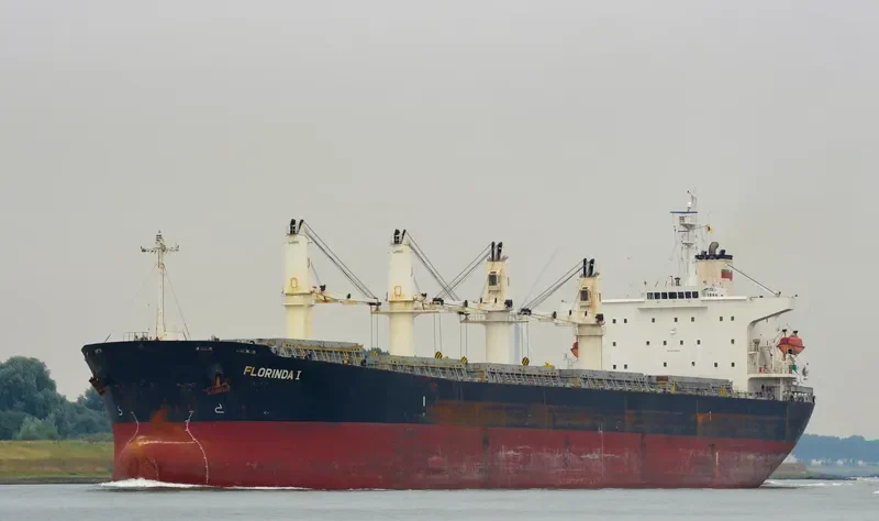 PACIFIC FRIEDA Bulk Carrier IMO 9274939 photo 4