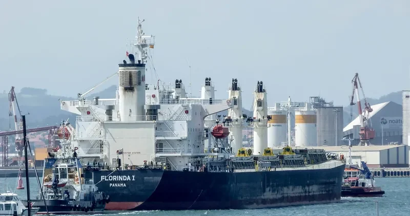 PACIFIC FRIEDA Bulk Carrier IMO 9274939 photo 5