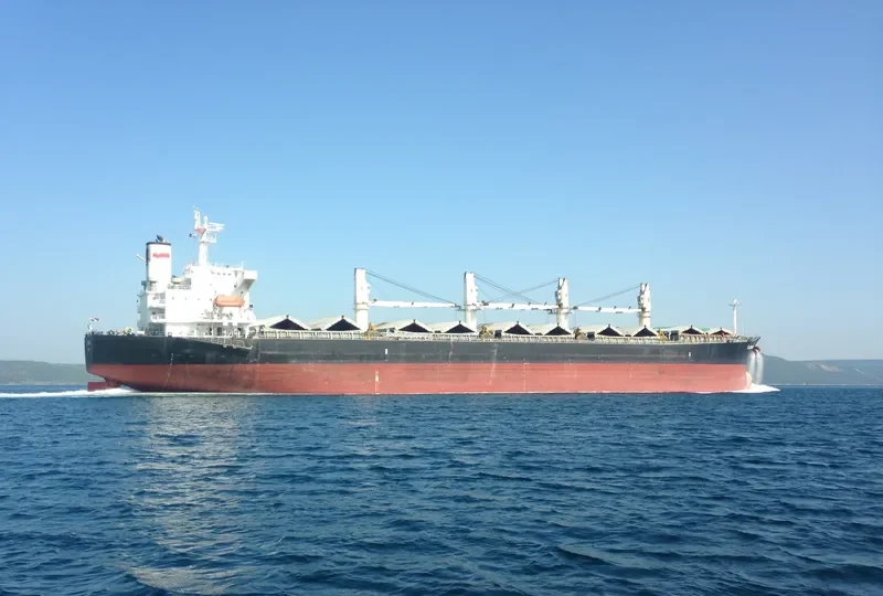 PACIFIC FRIEDA Bulk Carrier IMO 9274939 photo 8