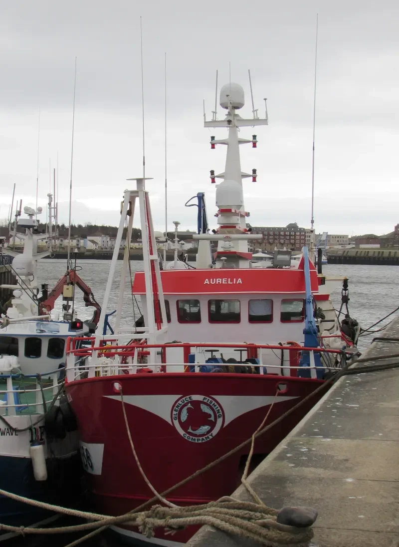 AURELIA General Cargo IMO 9274977 photo 8