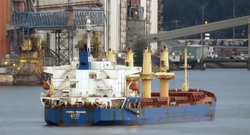 S BRILLIANT Bulk Carrier IMO 9275323 photo 3