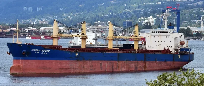 S BRILLIANT Bulk Carrier IMO 9275323 photo 7