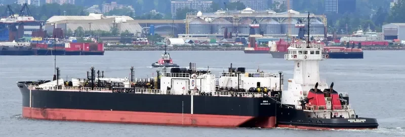 OCEAN RELIANCE General Cargo IMO 9275438 photo 2
