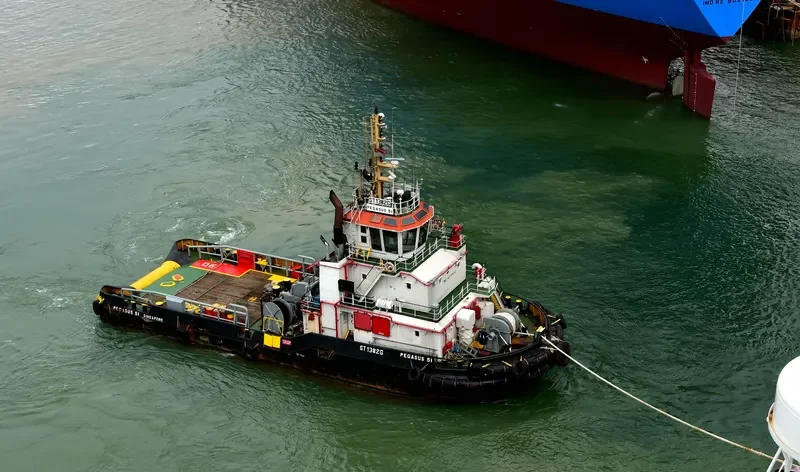 PEGASUS 51 General Cargo IMO 9275452