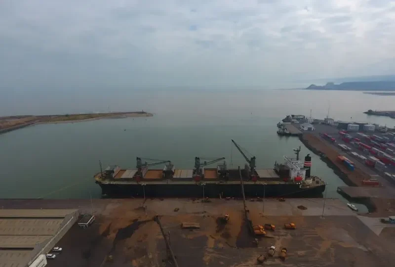 FORESTAL PACIFICO Bulk Carrier IMO 9275488