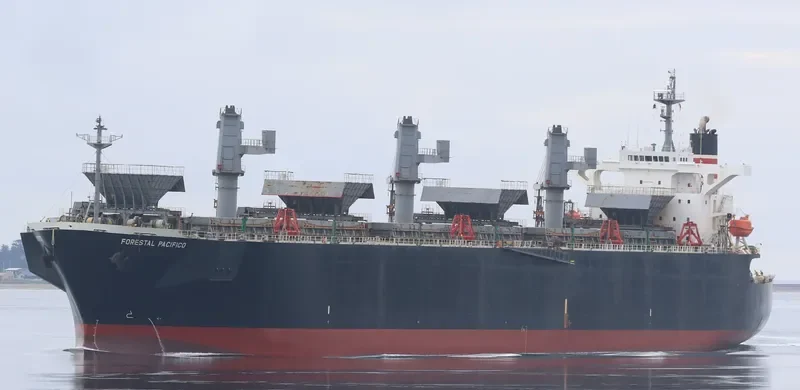 FORESTAL PACIFICO Bulk Carrier IMO 9275488 photo 2