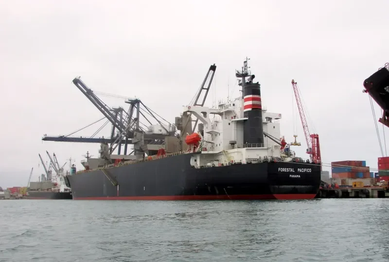 FORESTAL PACIFICO Bulk Carrier IMO 9275488 photo 6