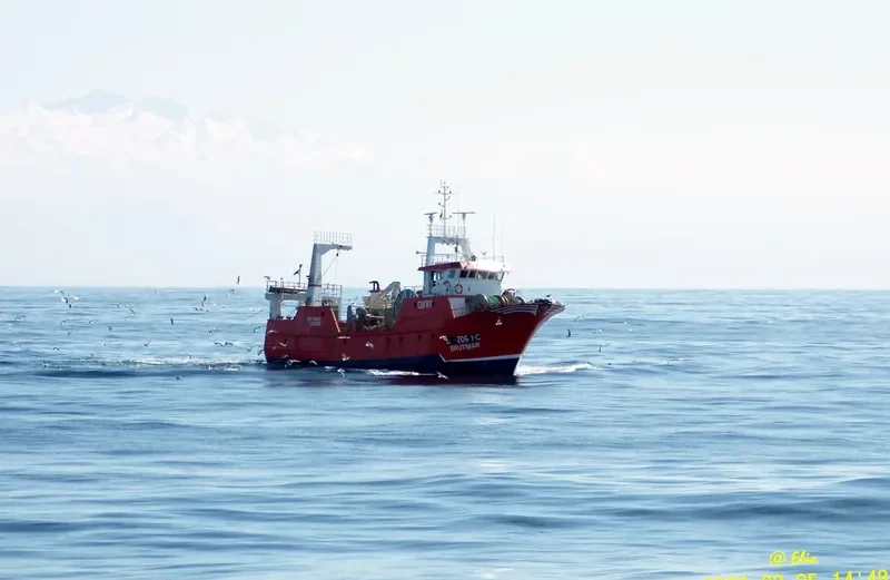 BRUTIMAR General Cargo IMO 9275610 photo 8