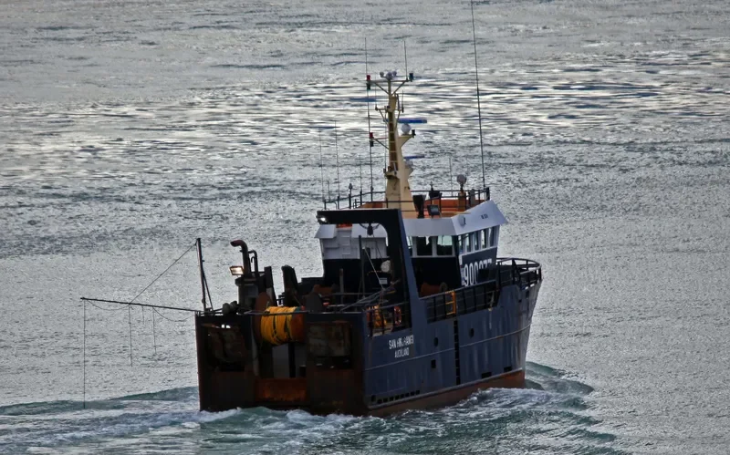 SAN HIKURANGI General Cargo IMO 9275804