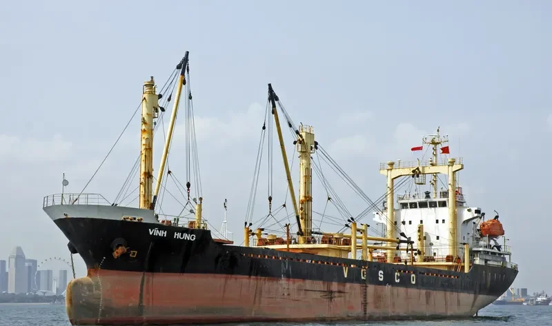 VIEN DONG 09 General Cargo IMO 9276212 photo 2
