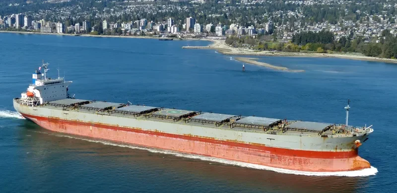 CETUS Bulk Carrier IMO 9276482 photo 2