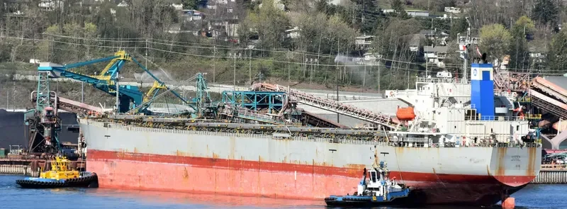 CETUS Bulk Carrier IMO 9276482 photo 4