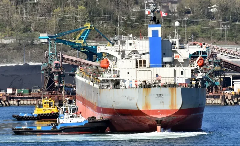 CETUS Bulk Carrier IMO 9276482 photo 5