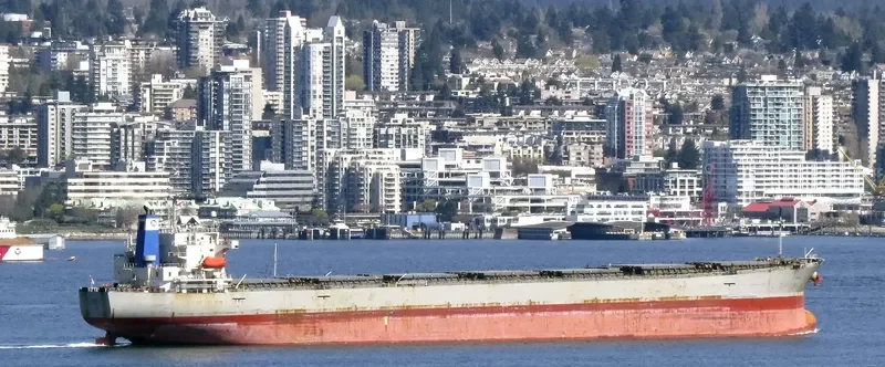 CETUS Bulk Carrier IMO 9276482 photo 7
