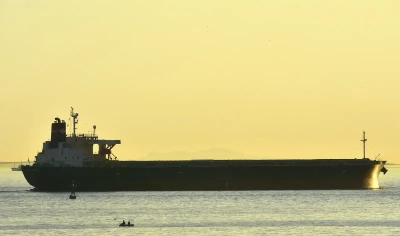GREEN POWER Bulk Carrier IMO 9276729 photo 10