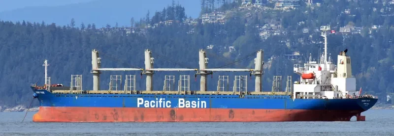 CHERRY POINT Bulk Carrier IMO 9276731 photo 2