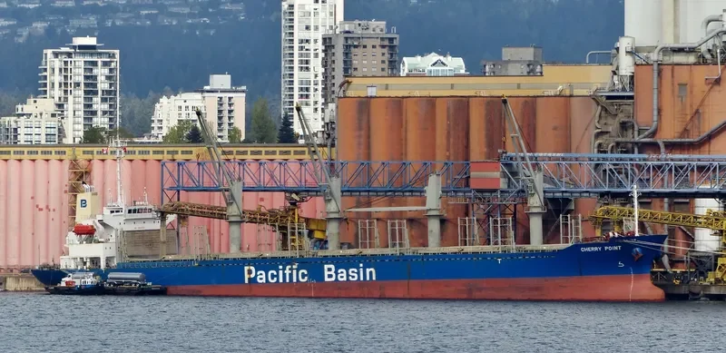 CHERRY POINT Bulk Carrier IMO 9276731 photo 3