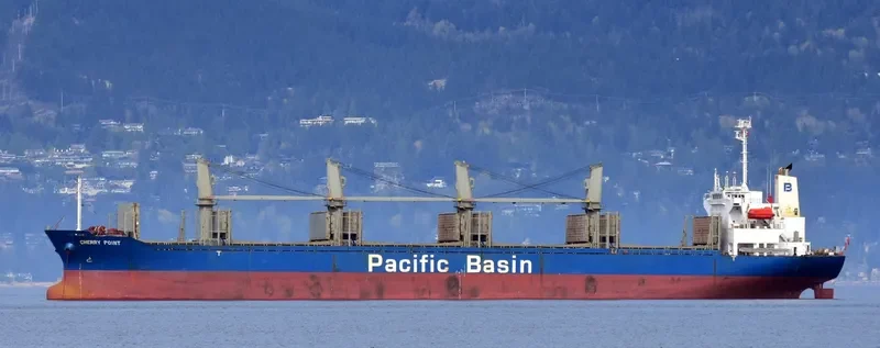 CHERRY POINT Bulk Carrier IMO 9276731 photo 4