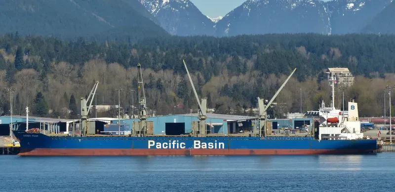 CHERRY POINT Bulk Carrier IMO 9276731 photo 5