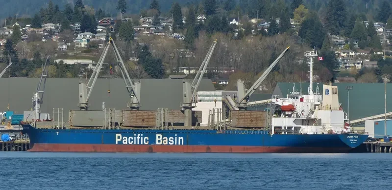 CHERRY POINT Bulk Carrier IMO 9276731 photo 6