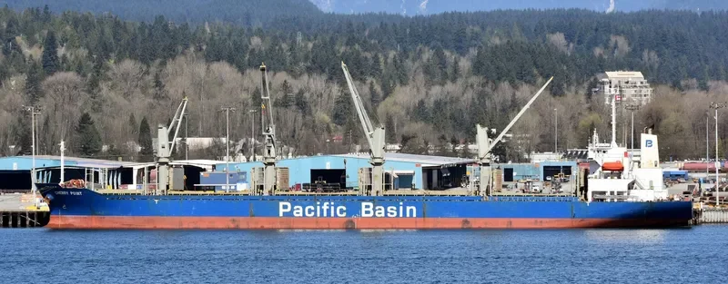 CHERRY POINT Bulk Carrier IMO 9276731 photo 7