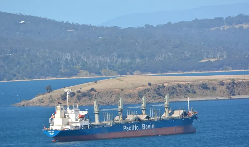 CHERRY POINT Bulk Carrier IMO 9276731 photo 10