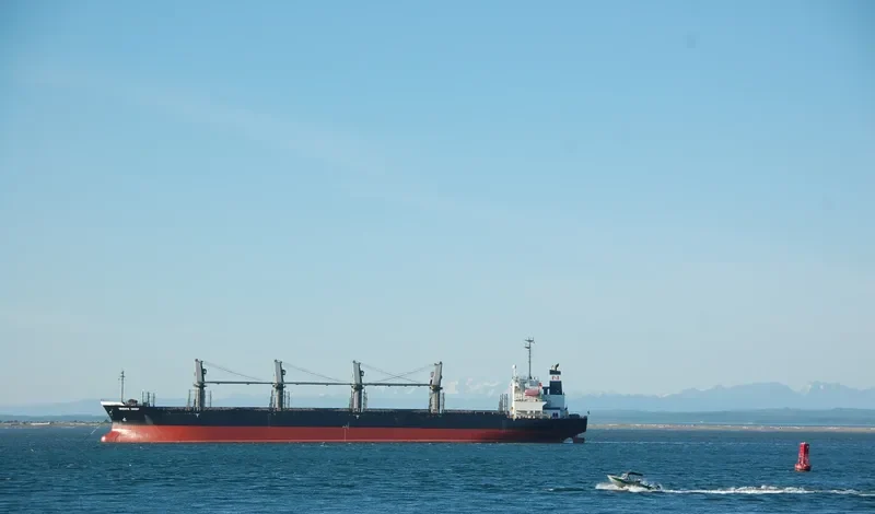 HAI NAM 39 Bulk Carrier IMO 9276755 photo 6
