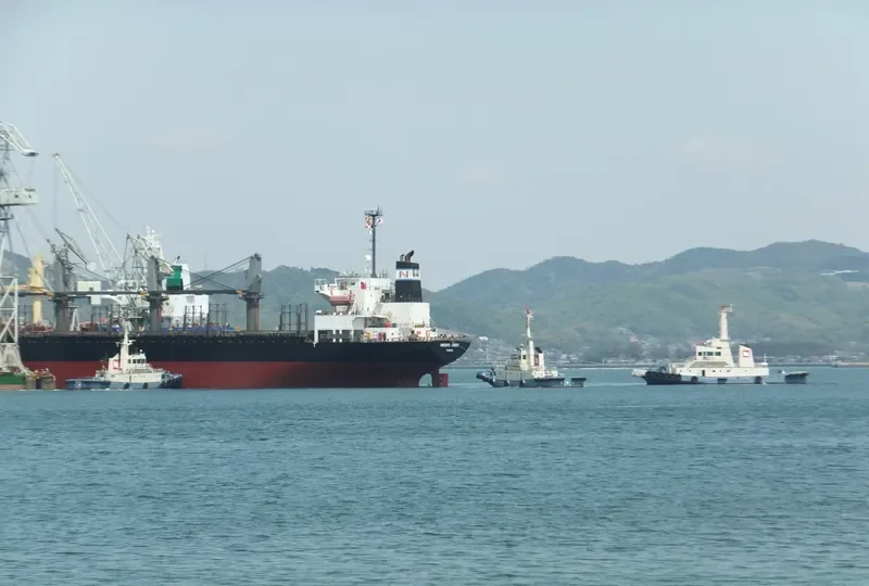 HAI NAM 39 Bulk Carrier IMO 9276755 photo 7