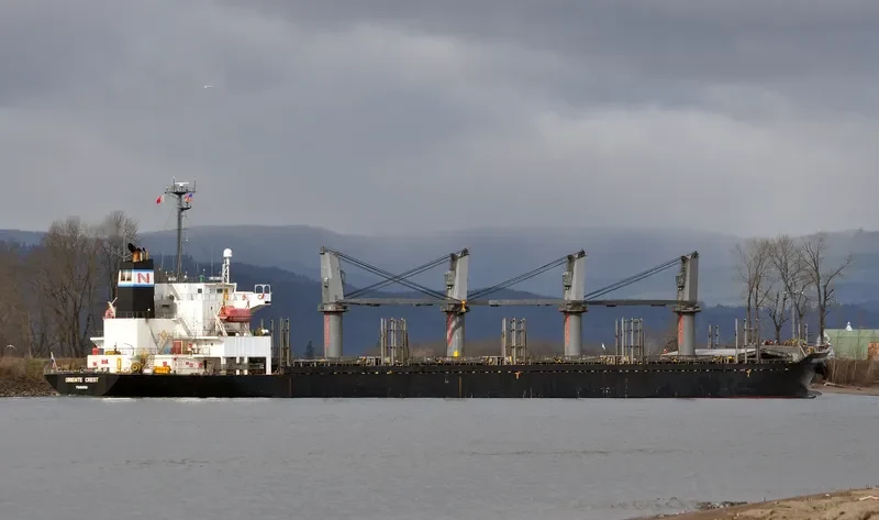 HAI NAM 39 Bulk Carrier IMO 9276755 photo 8