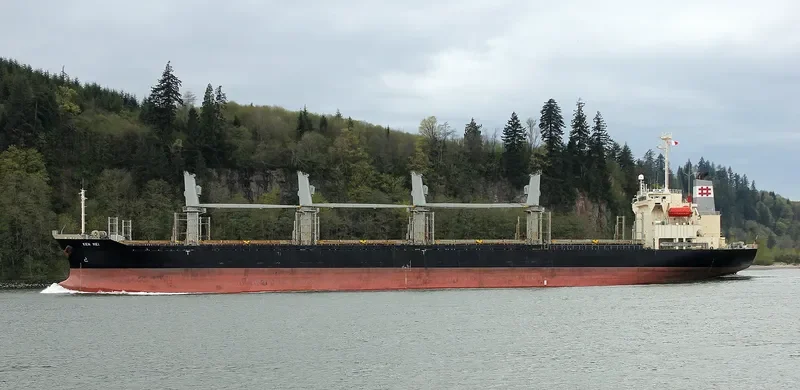 KEN MEI Bulk Carrier IMO 9276767 photo 10
