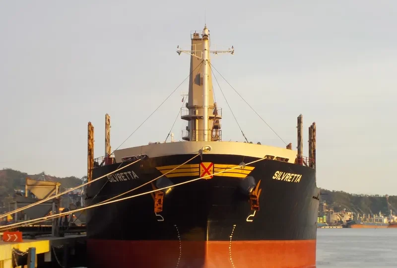 TAN BINH 246 Bulk Carrier IMO 9276779 photo 4
