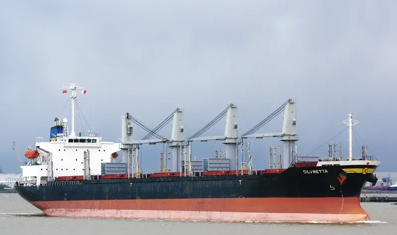 TAN BINH 246 Bulk Carrier IMO 9276779 photo 6
