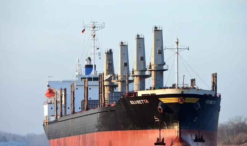 TAN BINH 246 Bulk Carrier IMO 9276779 photo 7