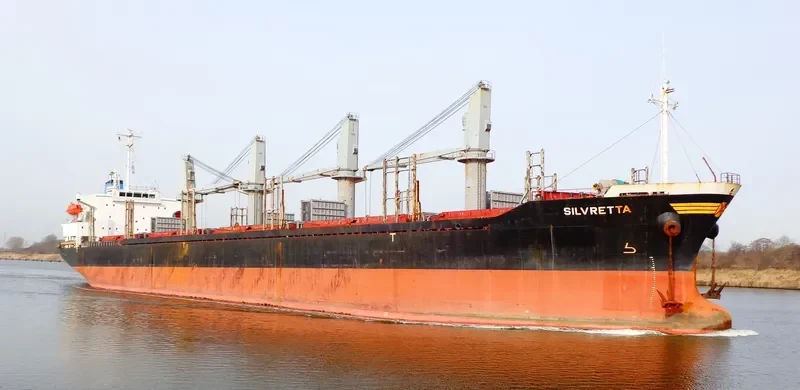 TAN BINH 246 Bulk Carrier IMO 9276779 photo 8