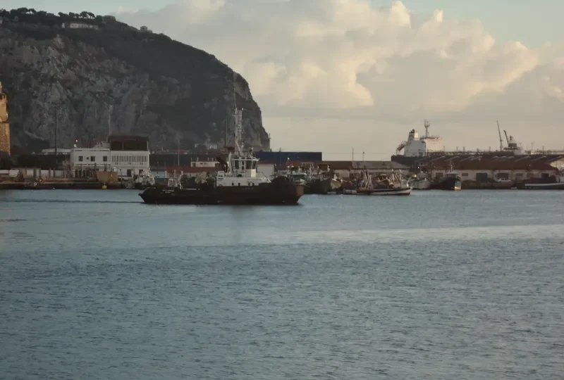 CAP CARBON General Cargo IMO 9276846