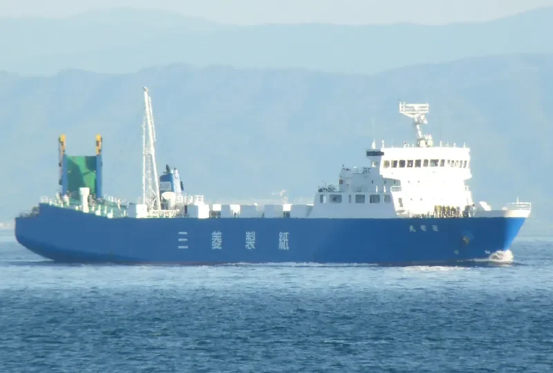 RYOEI MARU Ro-Ro IMO 9276925 photo 9