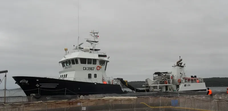 RONIA PACIFIC General Cargo IMO 9276963 photo 8