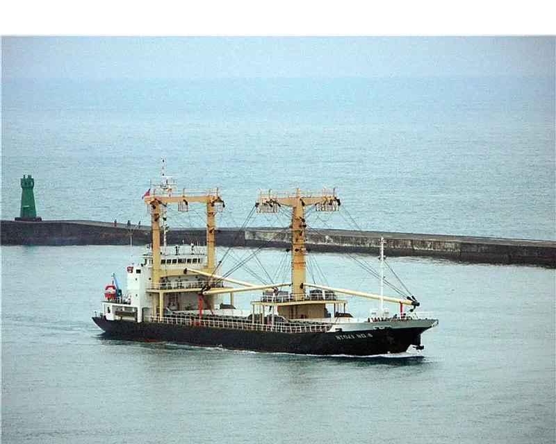 FLORA 8 General Cargo IMO 9277151 photo 8