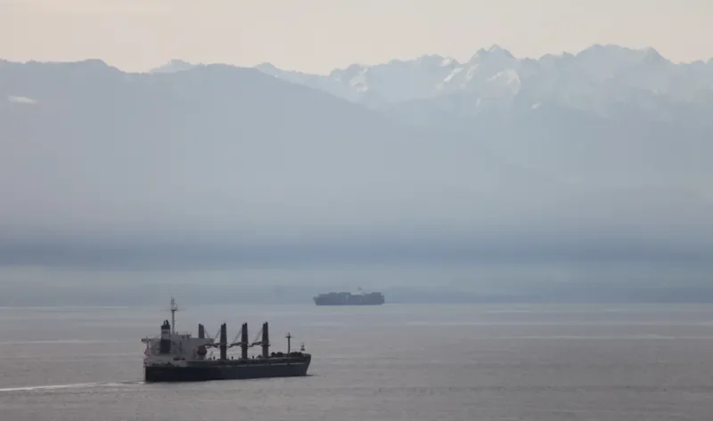 LUMOSO RAYA Bulk Carrier IMO 9277204 photo 8