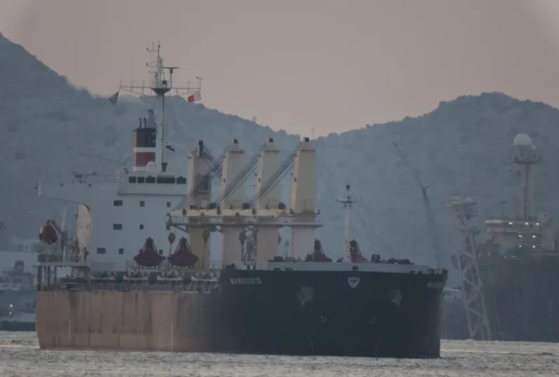 AMANAH HALMAHERA AMC Bulk Carrier IMO 9277254