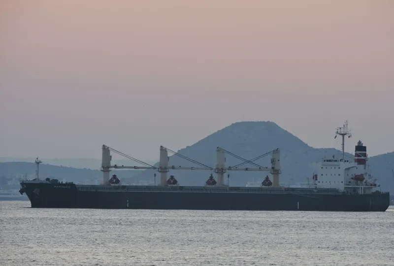 AMANAH HALMAHERA AMC Bulk Carrier IMO 9277254 photo 3