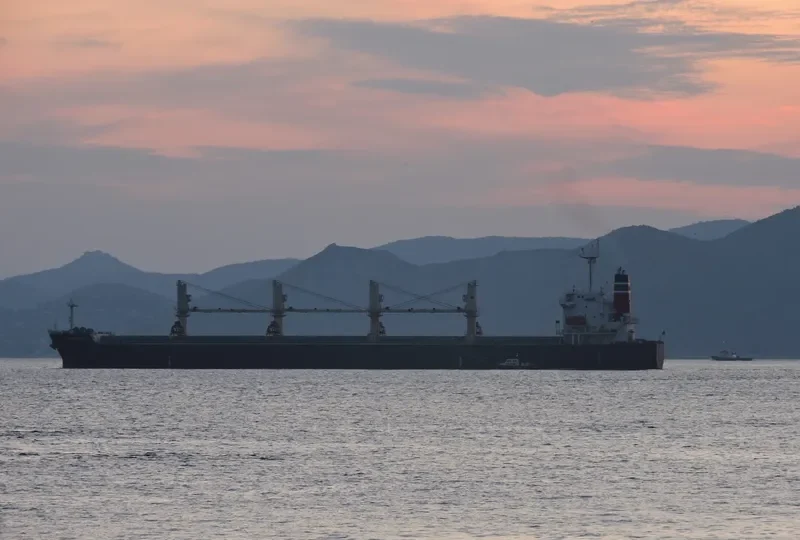 AMANAH HALMAHERA AMC Bulk Carrier IMO 9277254 photo 4
