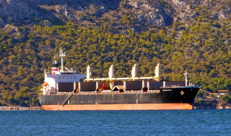 AMANAH HALMAHERA AMC Bulk Carrier IMO 9277254 photo 6